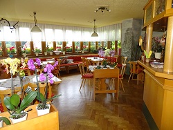 Pension Bergfreund im Frühling